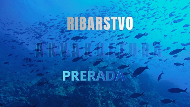 Objavljen 2. Natječaj FLAG-a Tri mora za Mjeru 1.2. 